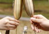 Stainless steel colorful tall red wine glass